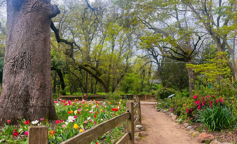 Jensen Botanical Garden, United States